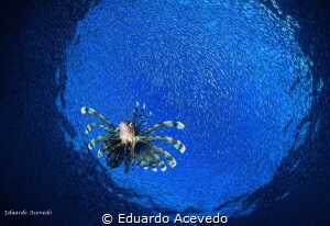 Eilat during the month of November. by Eduardo Acevedo 